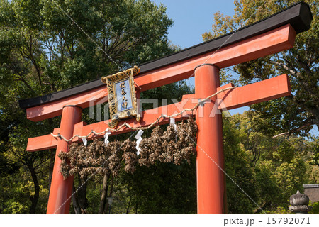 松尾大社　大鳥居 15792071