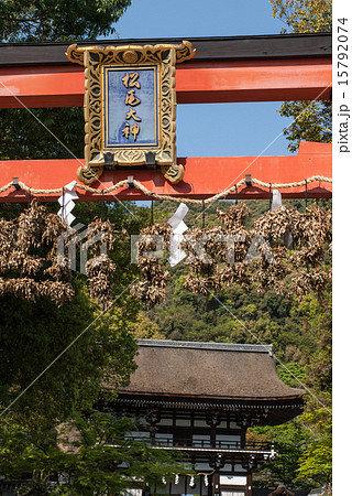 松尾大社 大鳥居 松尾大社 大鳥居 15792074