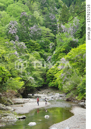 東海自然歩道 東海自然歩道 15792116