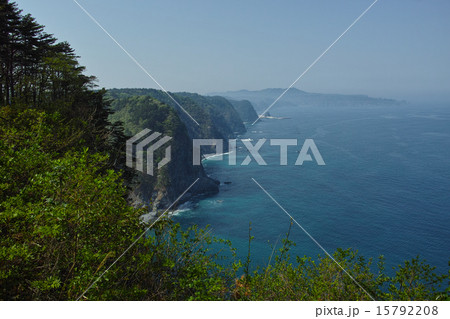 三陸海岸・鵜の巣断崖 三陸海岸・鵜の巣断崖 15792208