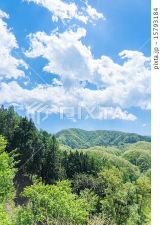 森と大空 15793184
