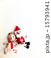 クリスマス　サンタクロース＆トナカイ 15793941