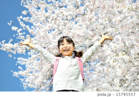 桜と小学生の女の子 15795557