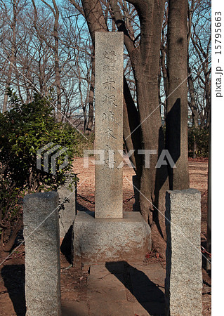 赤塚城址 赤塚城址 15795663