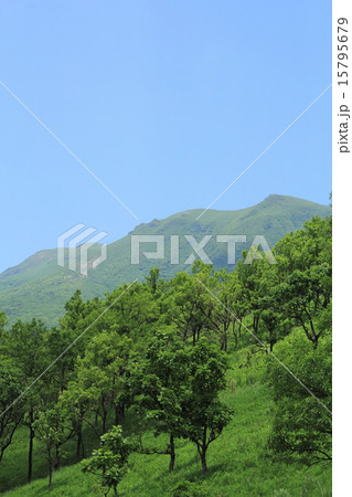 新緑のくじゅう連山 15795679
