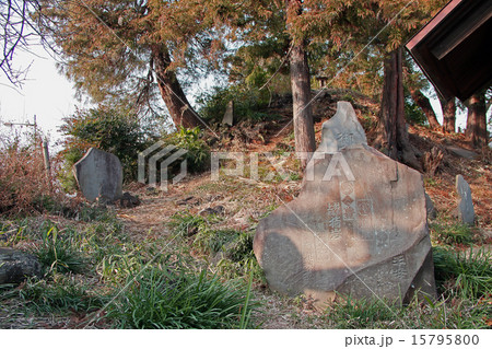 赤塚諏訪神社 15795800