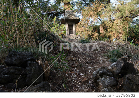 赤塚諏訪神社 赤塚諏訪神社 15795802