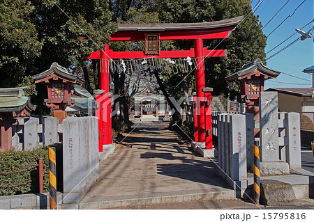 赤塚氷川神社 15795816