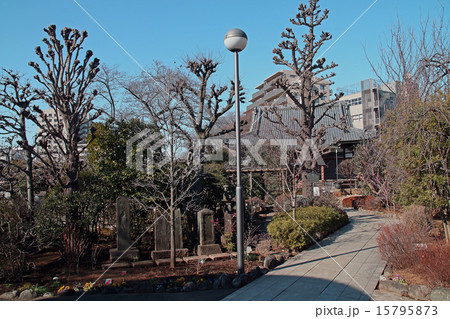 長徳寺 長徳寺 15795873