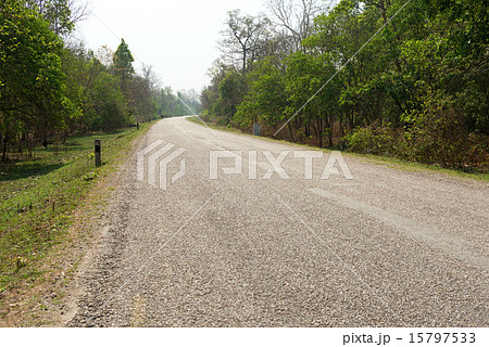ネパール タライ平原の道路 マヘンドラ ハイウエイ ネパール タライ平原の道路 マヘンドラ ハイウエイ 15797533