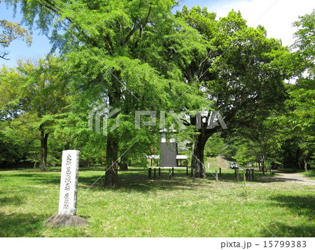 佐白山麓公園（笠間城主下屋敷跡） 15799383