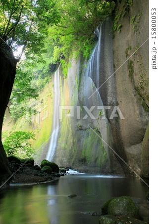 新緑の峡谷 新緑の峡谷 15800053