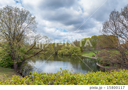 Swedish natural area Swedish natural area 15800117