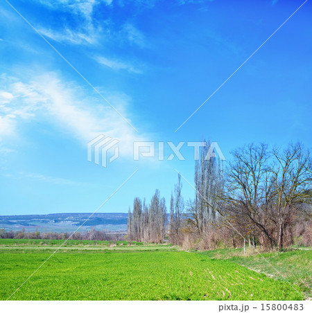 nature nature 15800483