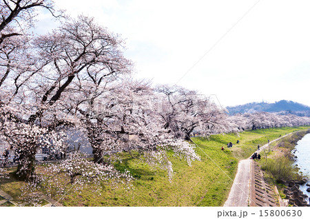 さくら・大河原町 15800630