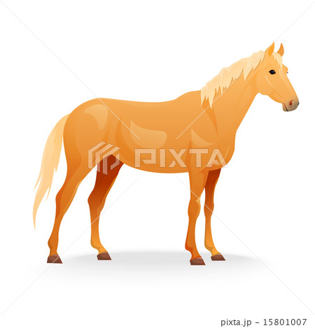 Realistic horse with red coat. Realistic horse with red coat. 15801007