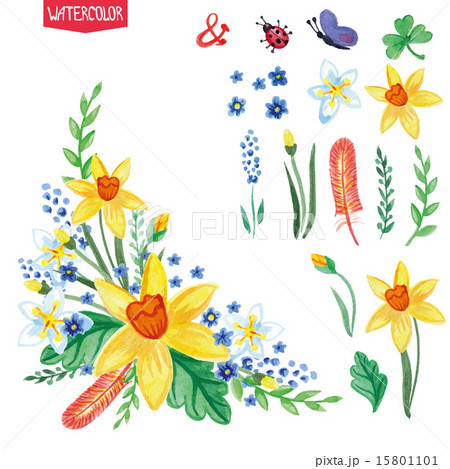 Watercolor flowers,green branches set.Spring,summer bouquet Watercolor flowers,green branches set.Spring,summer bouquet 15801101