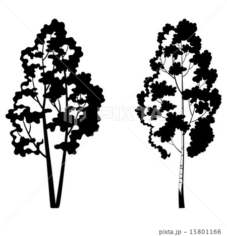 Trees, birch and symbolic silhouette 15801166