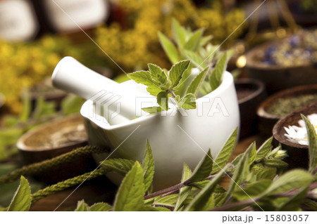Assorted natural medical herbs and mortar 15803057