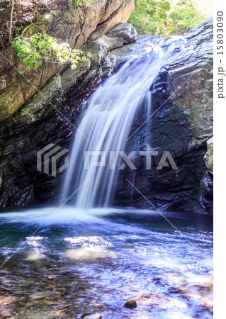 不動の滝 15803090