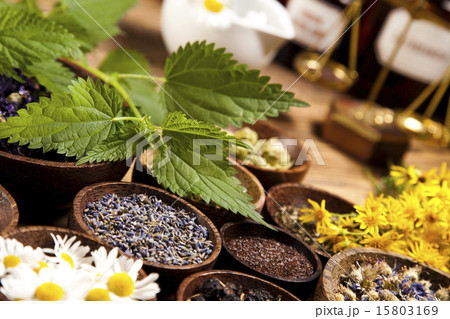 Fresh medicinal herbs on wooden desk 15803169