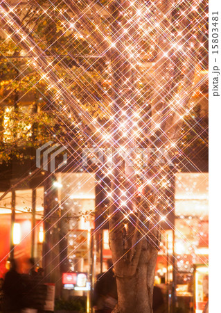 丸の内のクリスマスイルミネーション 丸の内のクリスマスイルミネーション 15803481