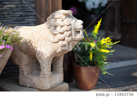 Lion statue at a house door in Seoul, Korea 15803736
