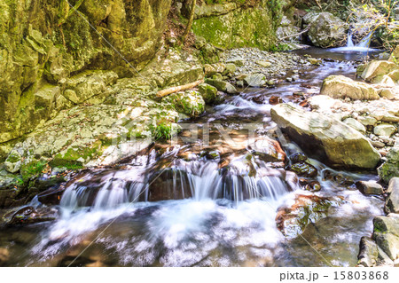 くらがり渓谷 くらがり渓谷 15803868