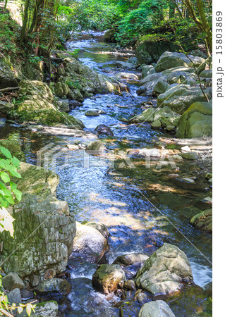 くらがり渓谷 15803869