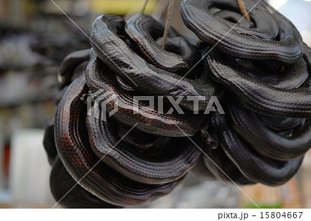 乾燥イラブー 15804667