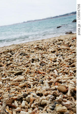 辺野古大浦海岸　オイルフェンス 15804706
