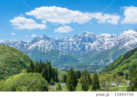 北アルプスと緑の大地 長野県白馬村 青鬼集落 の写真素材