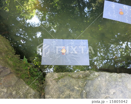 八重垣神社 15805042