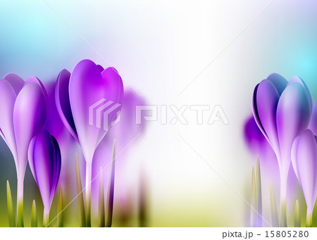Spring flower background 15805280