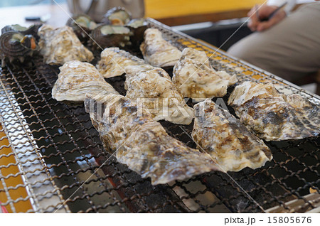 カキ小屋（福岡県糸島市） 15805676