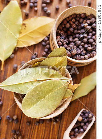 spice spice 15805951
