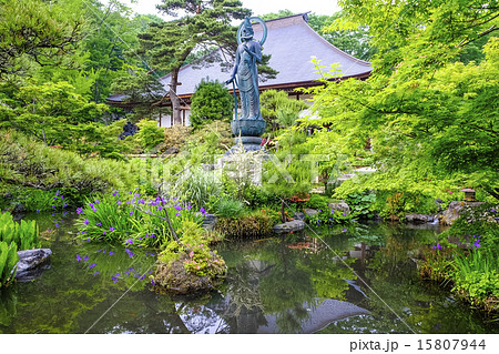 聖観音の池 15807944