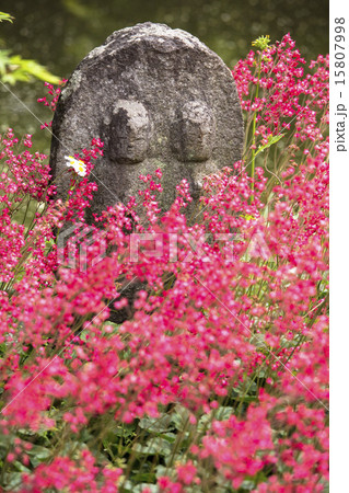 赤花と石仏(縦) 赤花と石仏(縦) 15807998