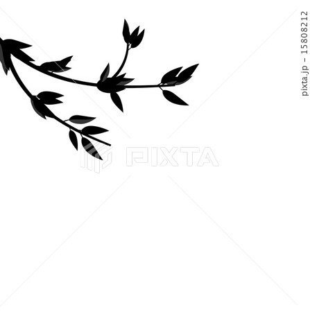 Black Silhouette Branch Tree with Leafs 15808212
