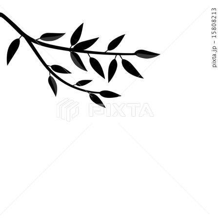 Black Silhouette Branch Tree with Leafs 15808213