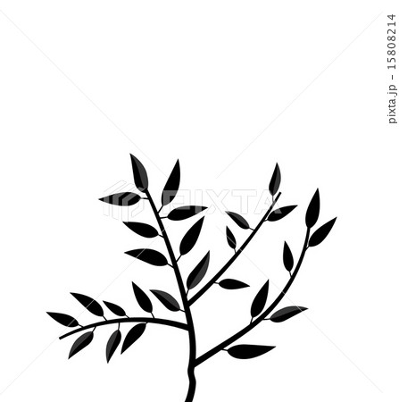 Black Silhouette Branch Tree with Leafs Black Silhouette Branch Tree with Leafs 15808214