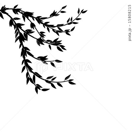 Black Silhouette Branch Tree with Leafs 15808215