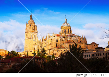 Salamanca Cathedral 15809148