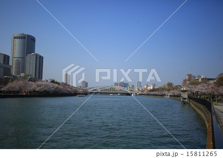 桜宮橋 桜宮橋 15811265