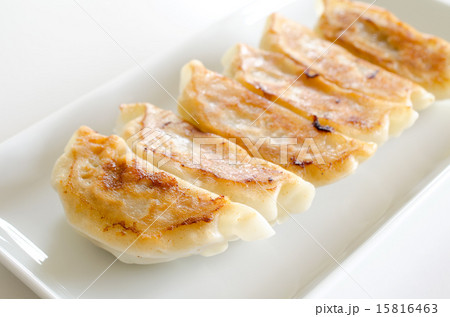 餃子 餃子 15816463