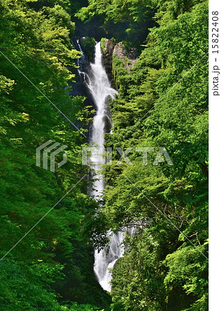 神庭の滝全景2（岡山県真庭市） 15822408