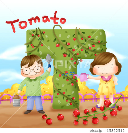 Alphabet Education_020 15822512