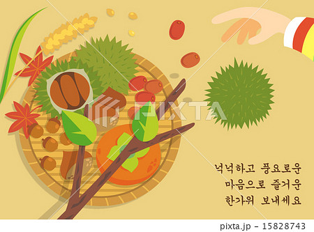 [ILL096] Korean Thanks giving day_005 15828743