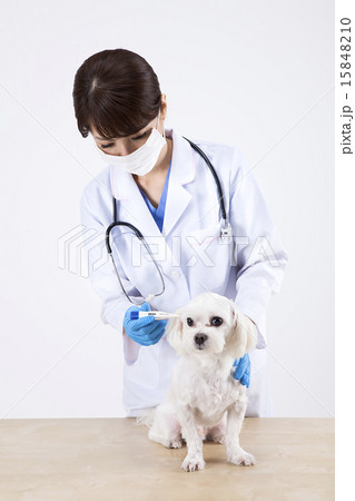 female Doctor_135 15848210