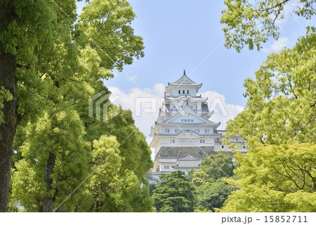 姫路城(喜斉門跡側より) 姫路城(喜斉門跡側より) 15852711